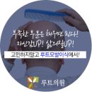 루트의원 이미지