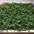 녹차밭약수터 이미지