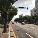 주정차단속-36 이미지