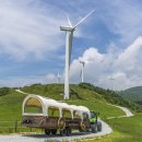 하늘목장 이미지