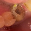 이플러스치과의원 이미지