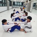 경희대호림태권도장 이미지