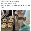 통큰할매순대국횡성터미널점 | 넘나 피곤한 수요일에는 일상 포스팅ez