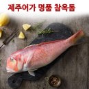 생선 - 관악구 남부순환로 1739-8 | 생선