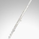 플룻 (B)? 이미지