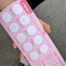 6월 국내여행지 추천, 초등 아이와 홍천 알파카월드 다녀온 후기