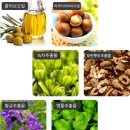 친환경 바디로션 DIY | 보습력 좋고 순한 코코랑아토 코코넛오일 바디로션 리얼후기