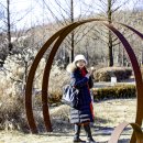 2025년1월15일 월드컵공원 블루라쿤님 이미지