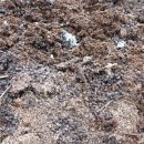 신선농장 이미지