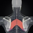 신흥동001 이미지
