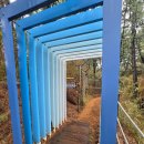 천곡방파제 이미지