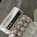 백봉흑염소 이미지