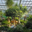 야간)꽃과 원예 이미지