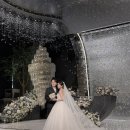 호텔미 | L65호텔웨딩 컨벤션홀 아이폰스냅 로지미 실장 촬영 후기