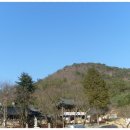 장안사4(주차장) Daum카페
