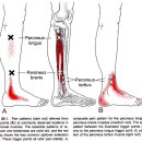더의선한의원 이미지
