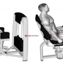 짐모토(GYM MOTO) 이미지