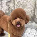 살롱드미미즈 이미지