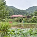 여주하늘정원 이미지