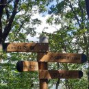 제바위세천 이미지