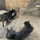 대전아쿠아리움 이미지