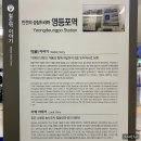 지리산 보더콜리 | 기차여행, 영등포역사 식당 편의시설 및 무궁화호 &amp; Strain(남도해양열차) 이용후기