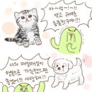아껴줄개 이미지
