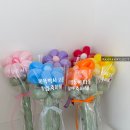 고운송이 | 졸업축하 꽃풍선 선생님 꽃풍선 선물 | 레터링 꽃풍선 한 송이 맞춤 제작 후기 풀풀프로젝트