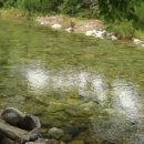 푸른쉼터 이미지