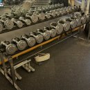 크러쉬 짐 이미지