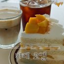 cafe25 | [강원/속초] 오션뷰 케이크도 맛있는 카페 'Cafe COEL' 내돈내산 솔직후기