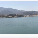 금암저수지 이미지