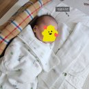 제이드에듀 - 서초구 서초중앙로31길 14-9 | 육아템 중 가장 잘 썼던 아이템 10가지 (직접 써본 후기)