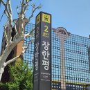 용마산역 | 중랑구 떡집 이쁘담 설기 솔직후기 신동진 쌀로 만드는 프리미엄 설기