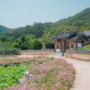 [차유마을]고동따개비체험 네이버블로그
