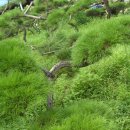 명산건강원 이미지