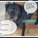 제우스존 이미지