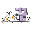 제주돈애