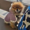 리치웰스파 | 야놀자 앱으로 역삼 리치웰 모텔 대실+이도곰탕으로 든든한 한끼 (feat. 백미당)