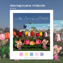 11305-9-199-1 | 2026년 에버랜드 튤립축제 토요일 방문 후기 튤립 개화 현황 포시즌스 가든 불꽃쇼 튤립 굿즈