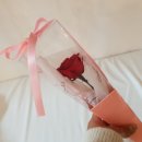 아띠랑스아뜰리에 이미지