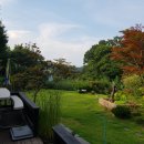 나만의계곡 이미지