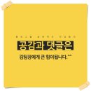 강연우동태찌개제주외도점