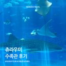 츄라우미 수족관 후기｜고래상어 수조 + 아이와 가족여행 추천 포인트