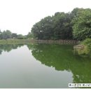 황새목 | [출조후기] [배스] 2017. 7. 1 황새목낚시터