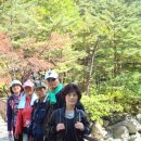 신영초교 이미지