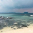 봉자게스트하우스
