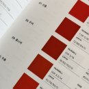 퍼스널컬러 이미지