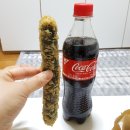 두찜인천만수점 | 만수동 맛집 야식 배달 떡볶이참잘하는집 떡참 로제떡볶이 찐맛집