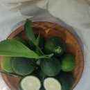 운성농장 이미지